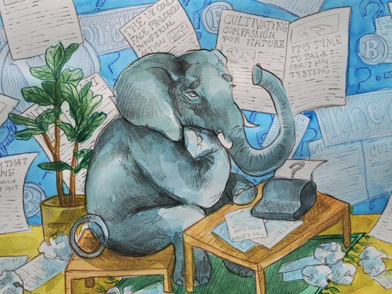 Elephant sitting at a desk on a typewriter that has printed out a question mark. Background is plastered with written papers stuck to the walls of the room.