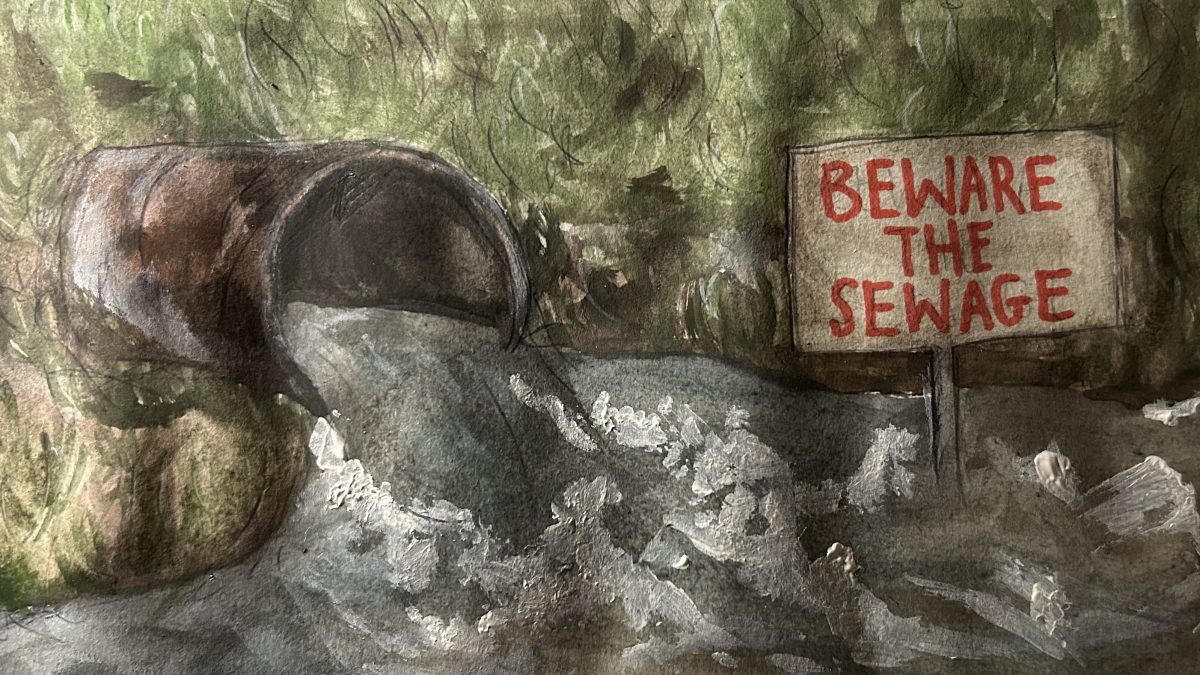 Image of discoloured sewer water flowing out of a pipe, with a sign in red capital letters reading ‘beware the sewage’