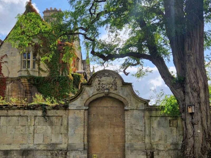 The image shows a traditional Oxford wall at University College, surrounded by trees in front of a blue sky.