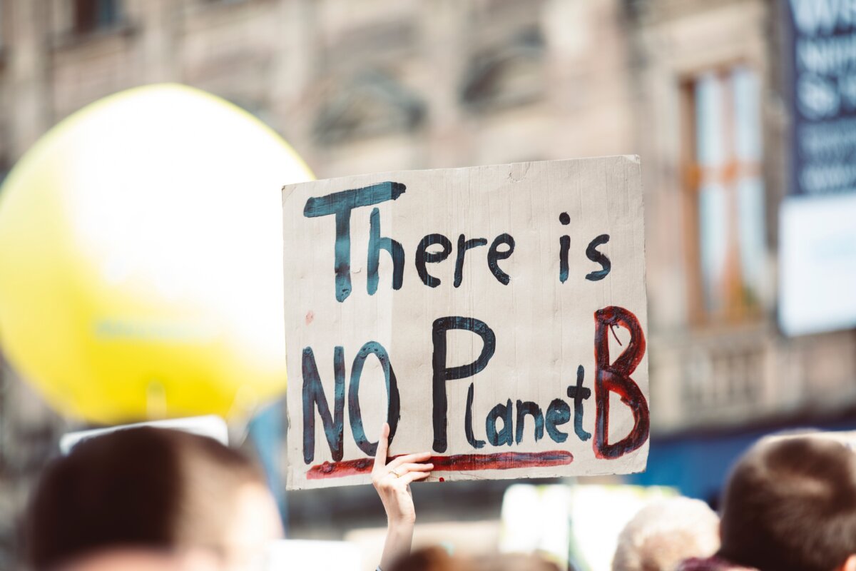 Sign held up in street saying "There is NO Planet B"