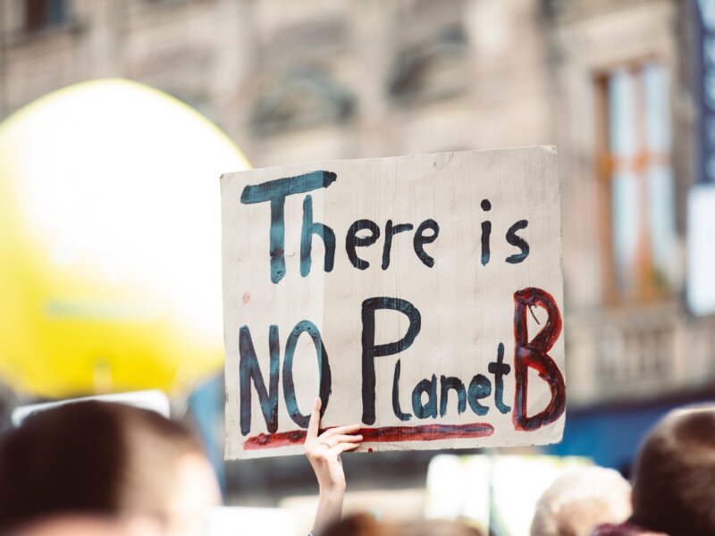 Sign held up in street saying "There is NO Planet B"