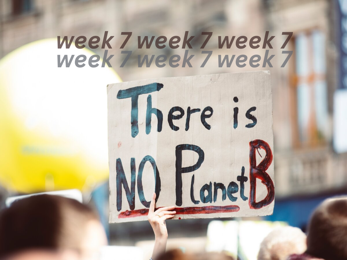 Sign held up saying 'There is NO Planet B' with text saying 'Week 6'