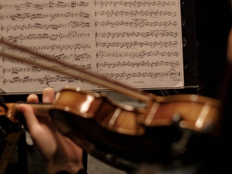 Image of a violin player taken from behind, with their sheet music visible in front of them.