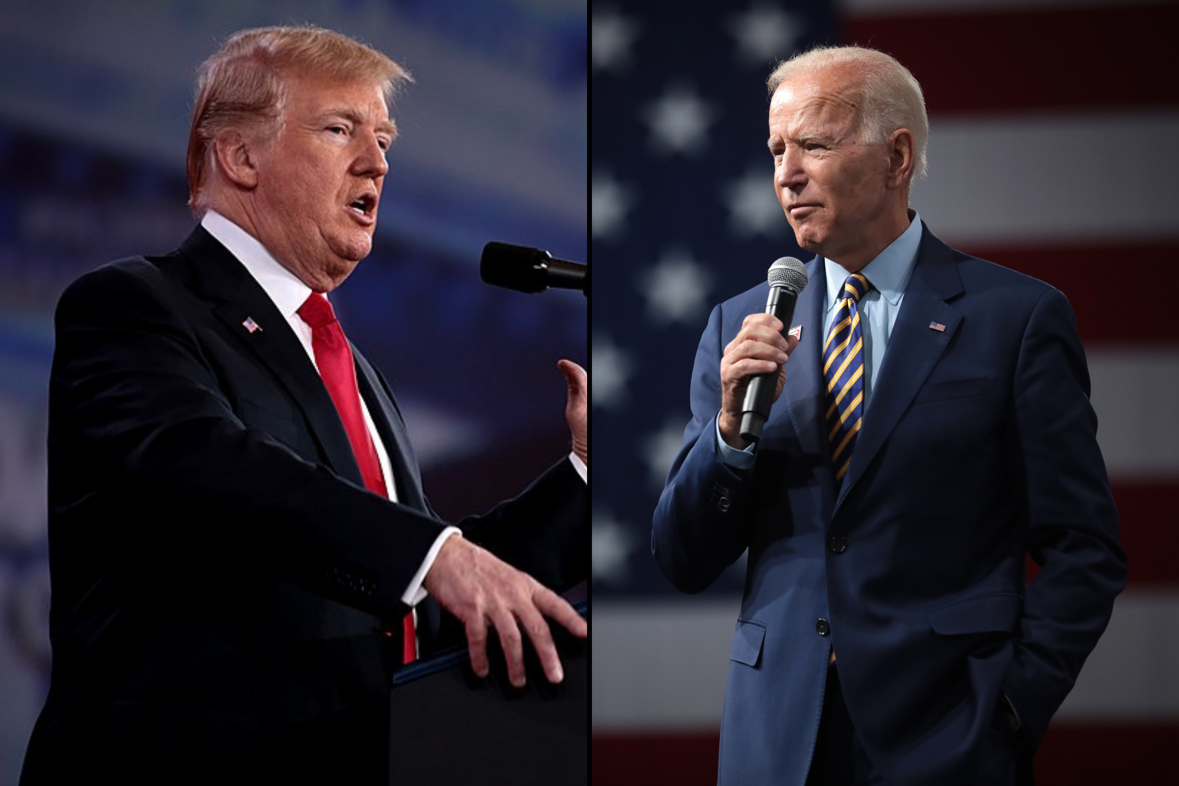 The 2024 Presidential Primaries matter – but not for the reason you think. 