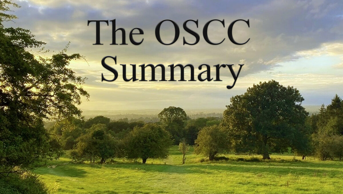Image of sky and fields, with 'The OSCC Summary' caption