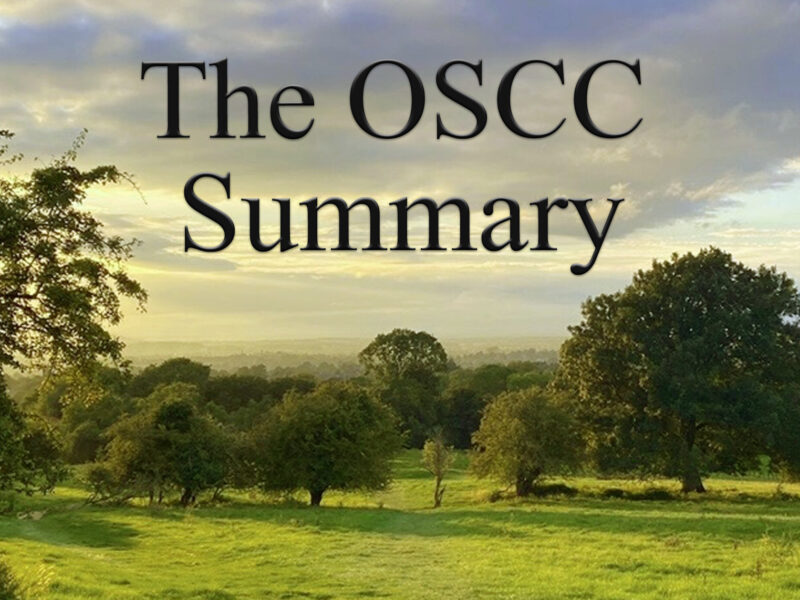 Image of sky and fields, with 'The OSCC Summary' caption