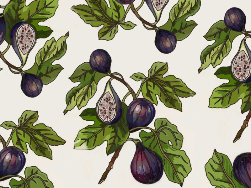 Illustration of figs