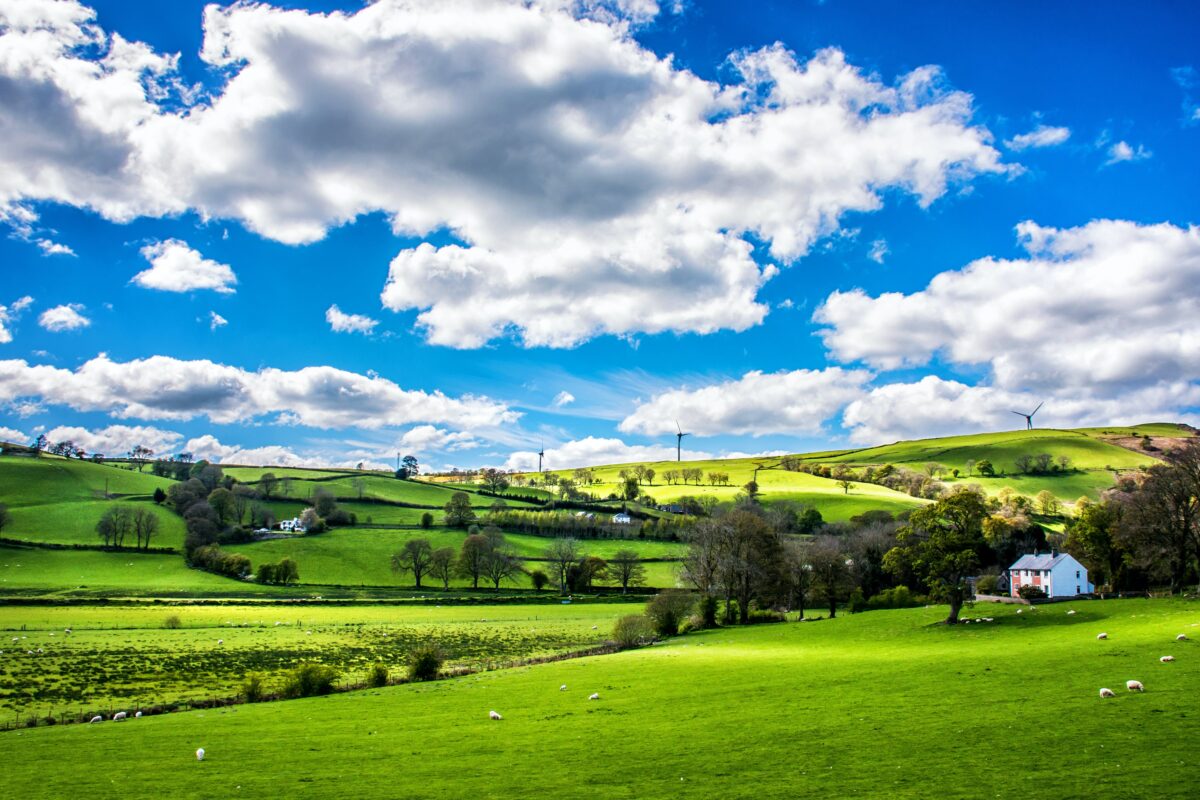 Picture of British countryside landscape.