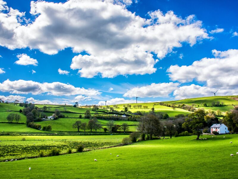 Picture of British countryside landscape.
