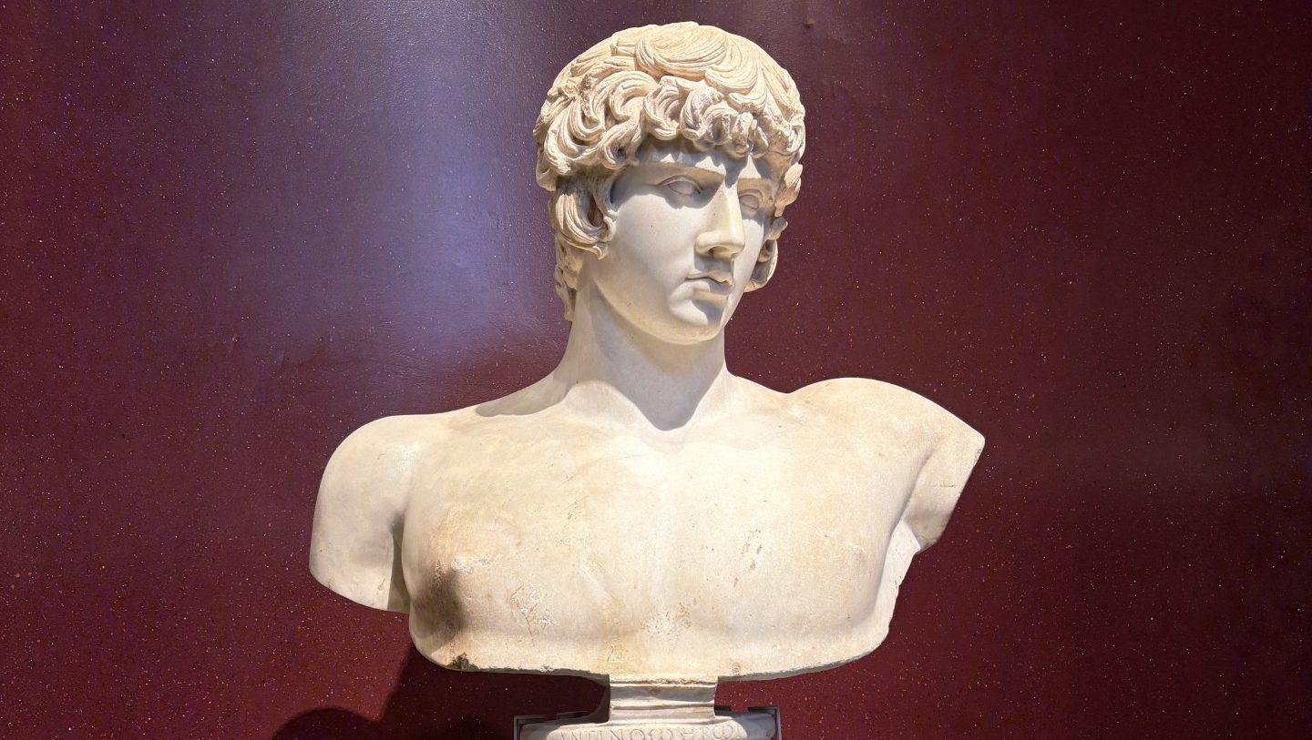A picture of the bust of Antinous in The Ashmolean Museum, Oxford.