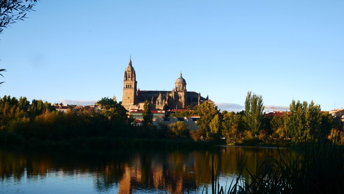 Provided by Imogen Forrest, used with permission