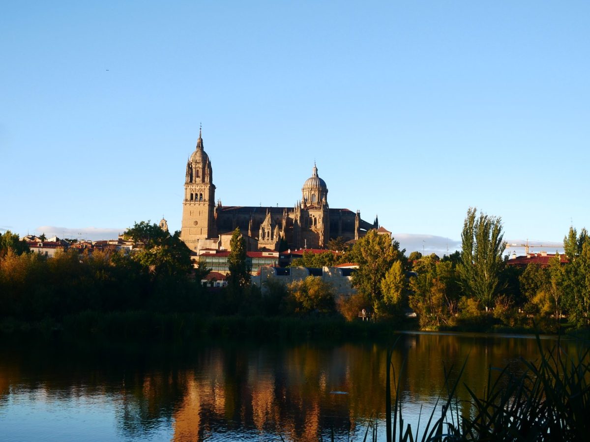 Provided by Imogen Forrest, used with permission