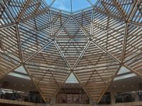 Provided by Malachy King, used with permission.