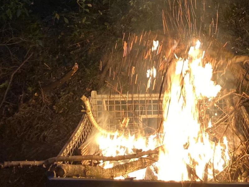 Provided by Laurence Britton, used with permission