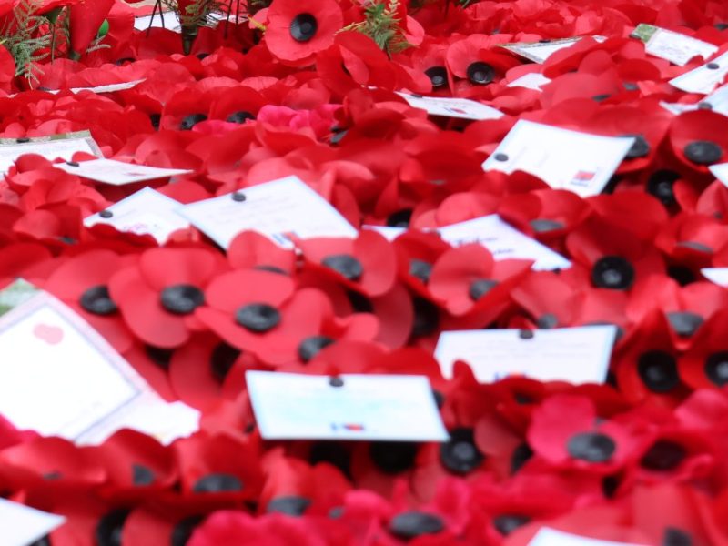 Department for Culture, Media and Sport, Public domain, via Wikimedia Commons