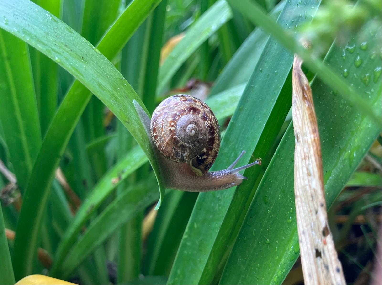 From the Inside Out: My Disability