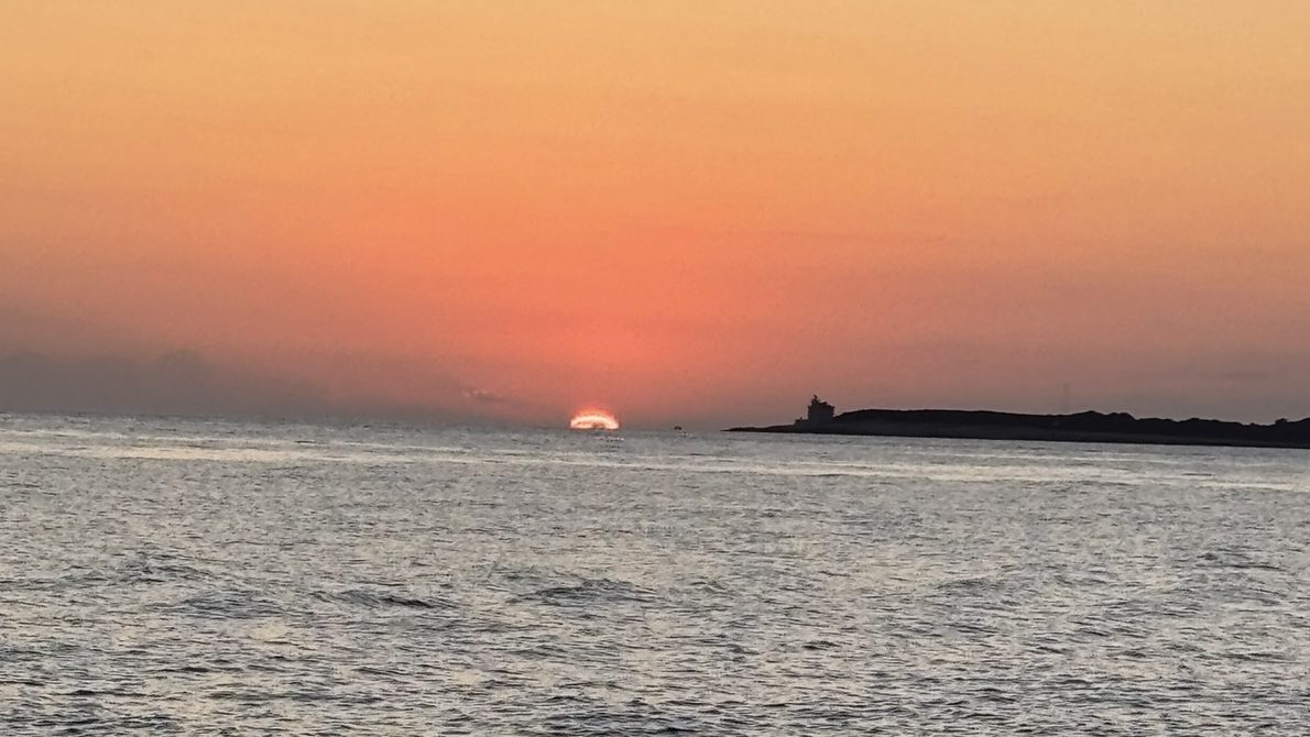 The Lifestyle Lowdown: Mental Health