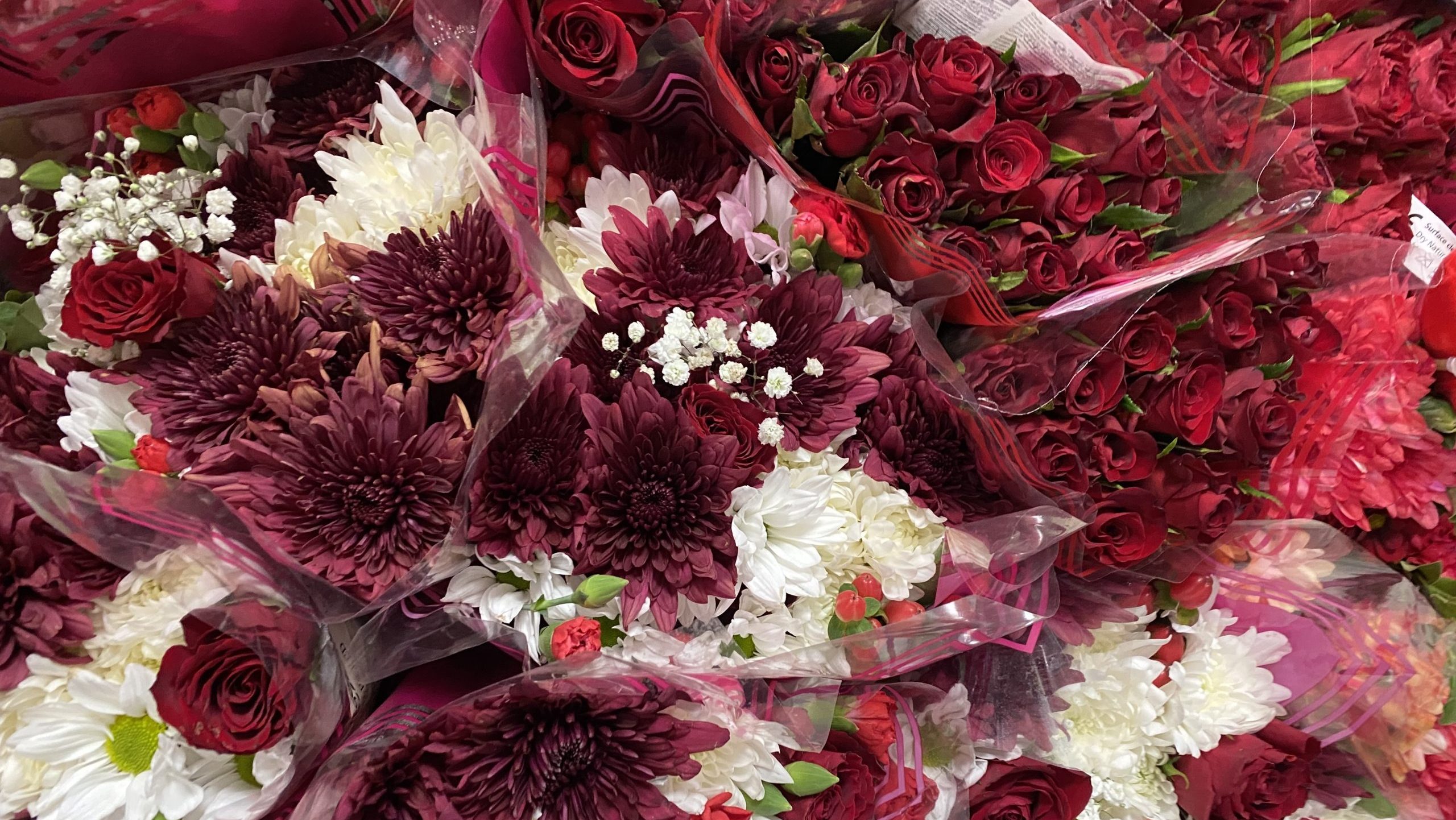 Being Single on Valentine’s Day