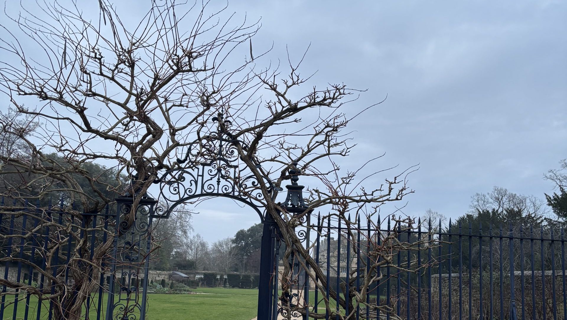 5th Week Blues: Inevitable or Avoidable?