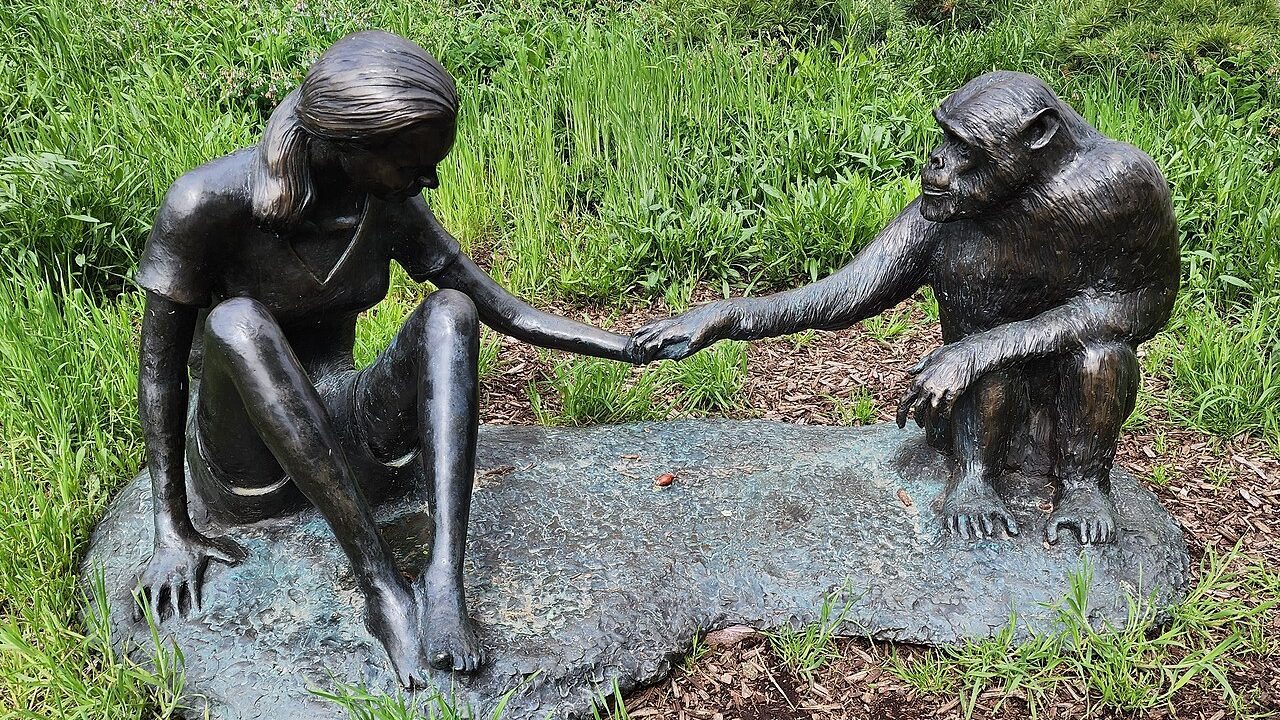 Redefining humankind: Remembering Dr Jane Goodall (1934-2025)