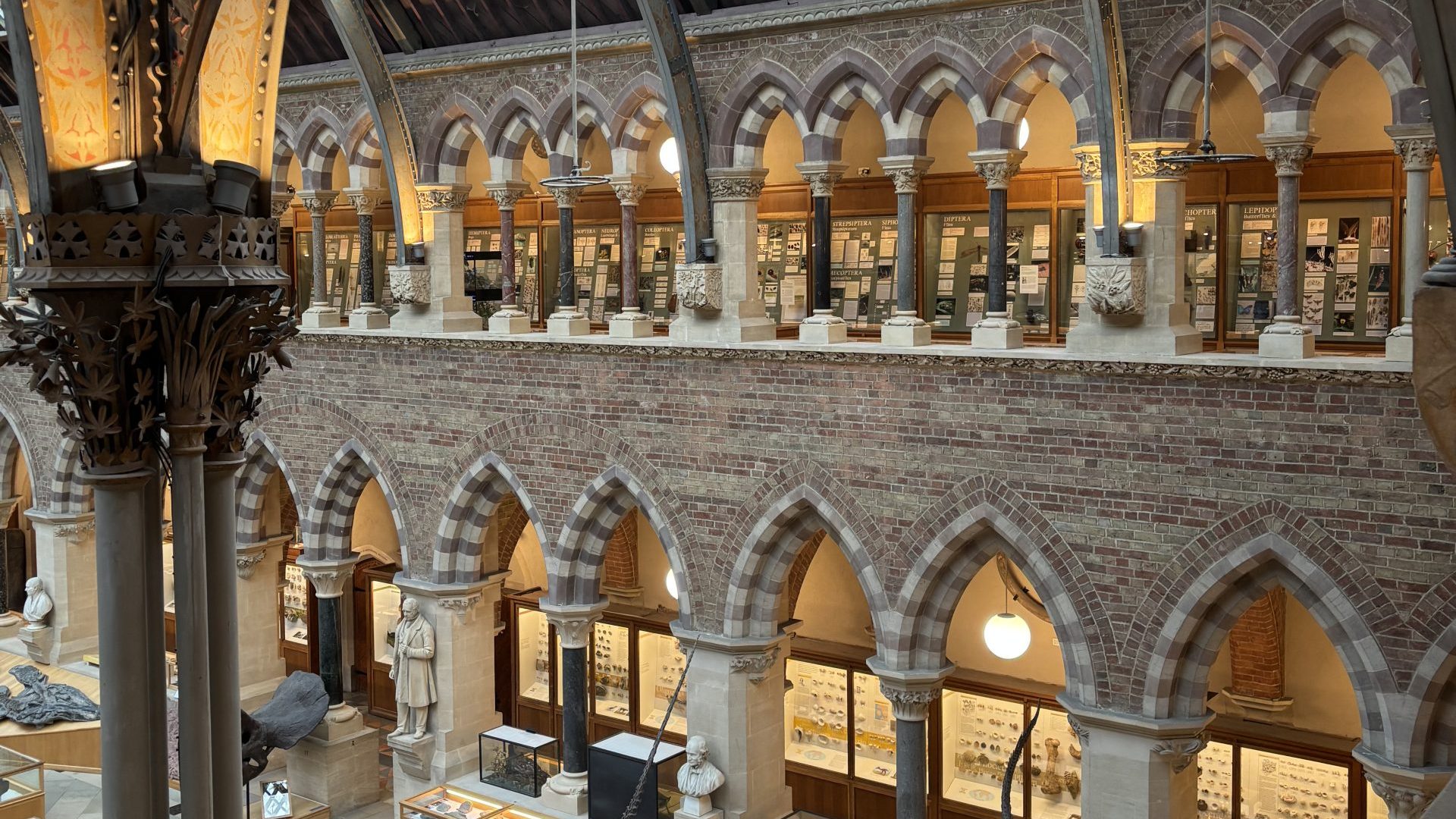 The Lifestyle Lowdown: Study Spots