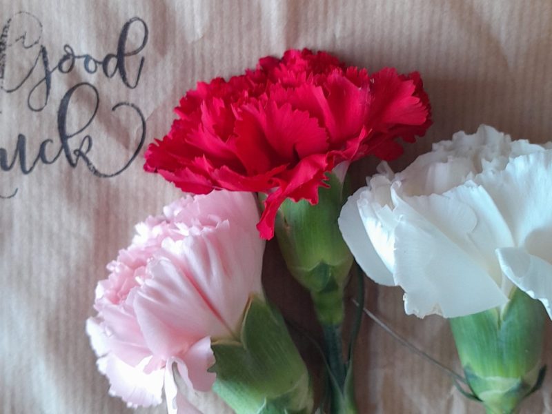Photo of three different coloured carnations on a brown piece of paper with "Good Luck" typed onto it