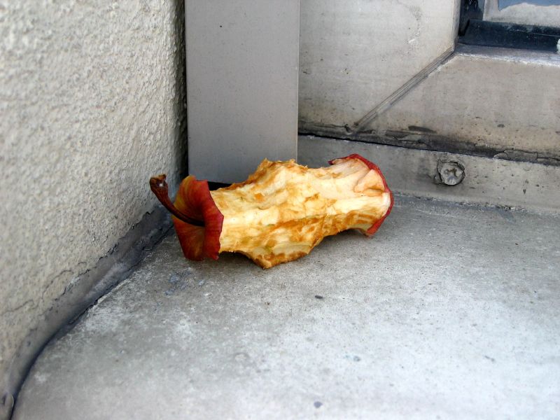 Rotting apple core