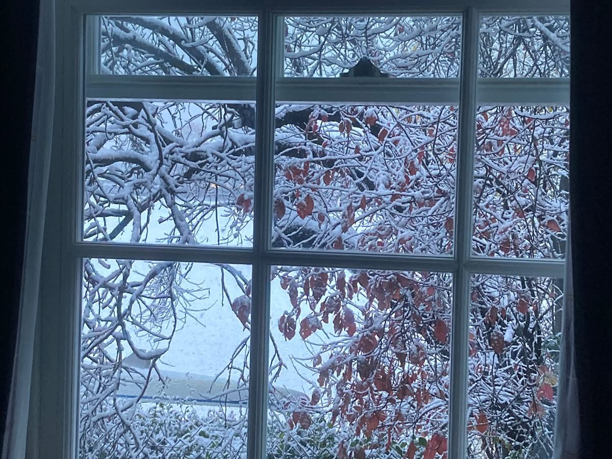 A photo taken of a window from indoors with a frozen tree outside
