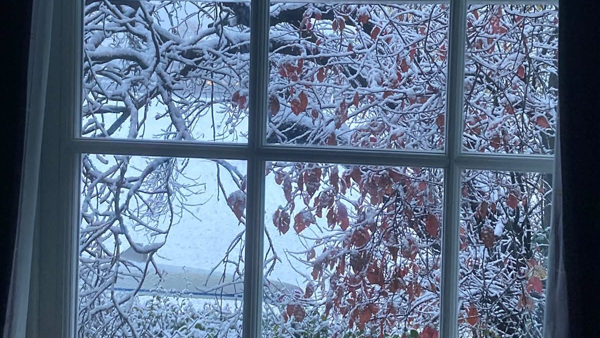 A photo taken of a window from indoors with a frozen tree outside
