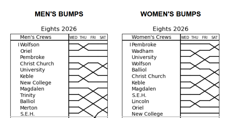 A chart showing the bumps made by each college over Summer Eights.