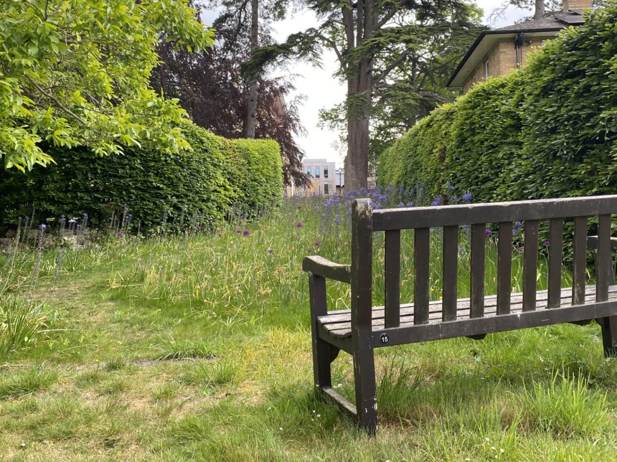 A picture of an empty bench, looking out over a garden in Oxford.
