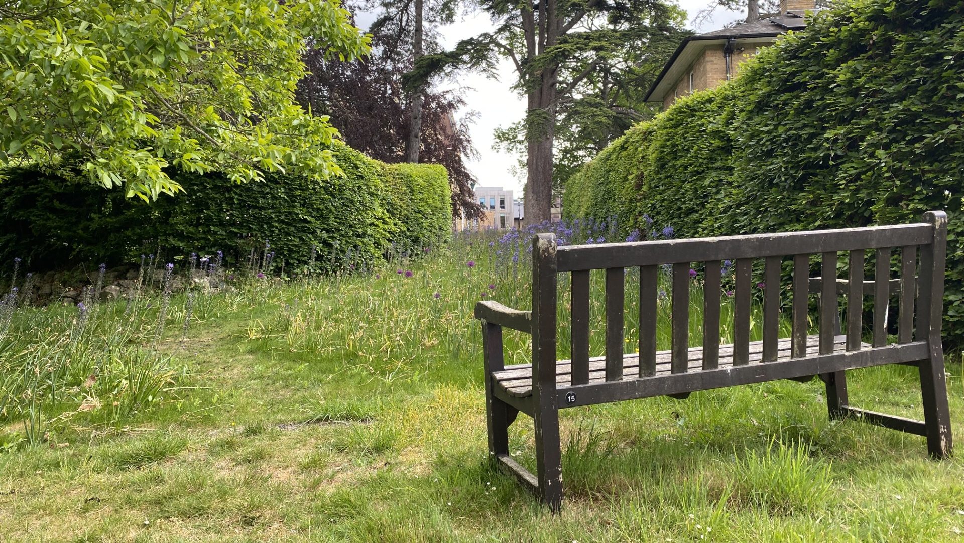 A picture of an empty bench, looking out over a garden in Oxford.