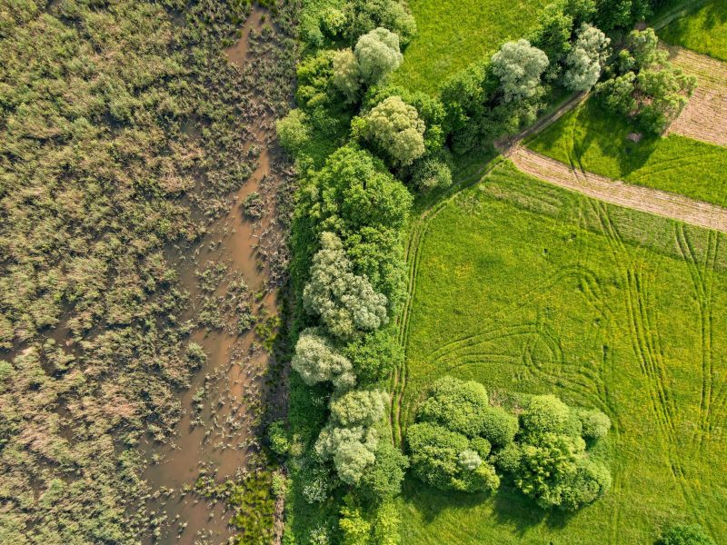 Drone shot capturing lush green fields and trees