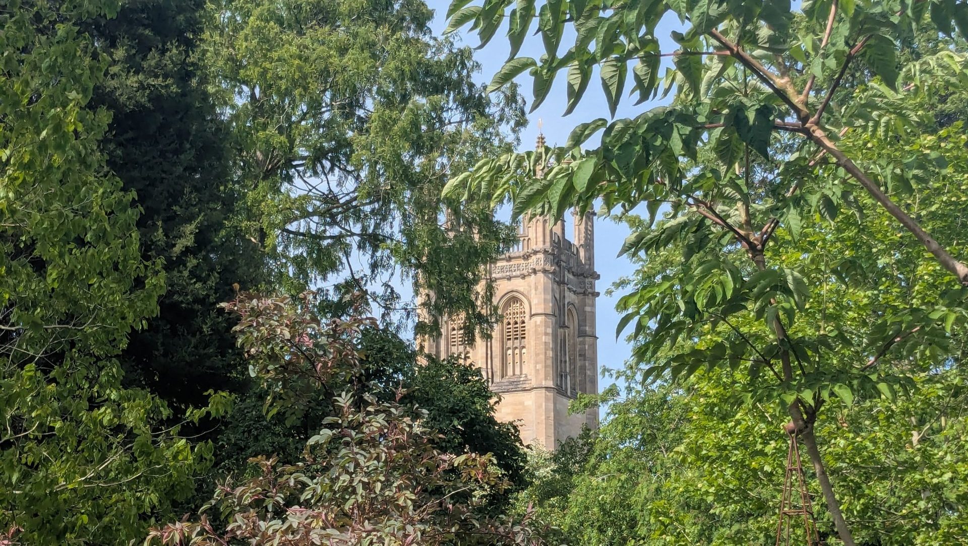 Photo of an Oxford building from a distance, surrounded by trees