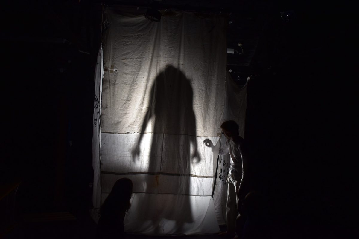 A silhouette behind a curtain from the Harrowing of Hell.26