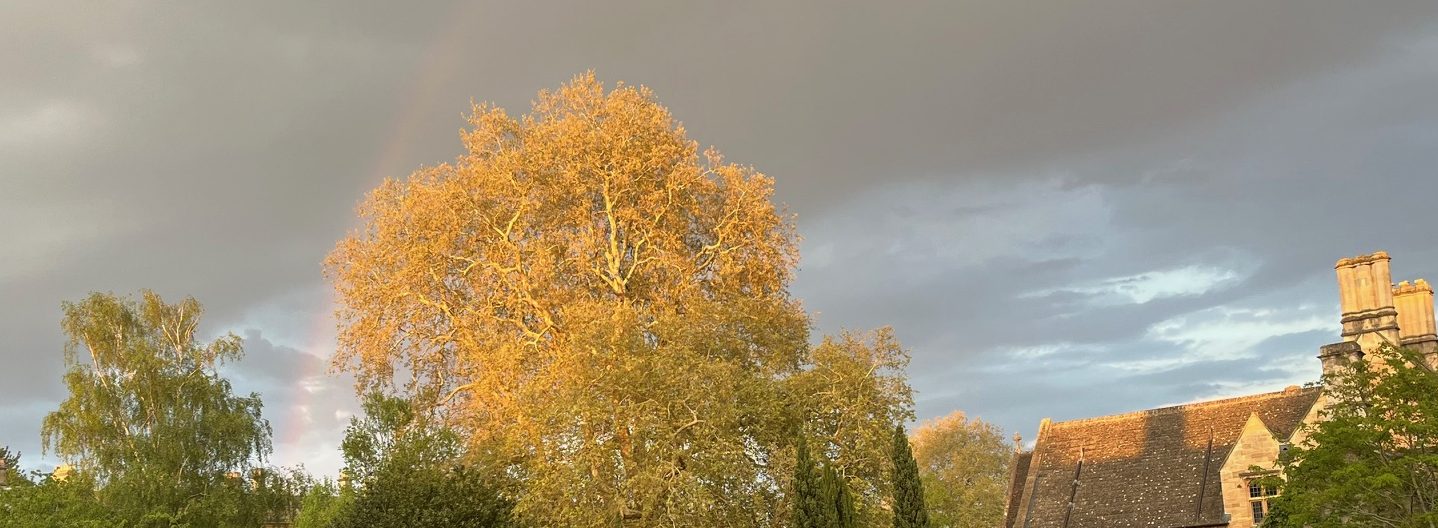April Showers