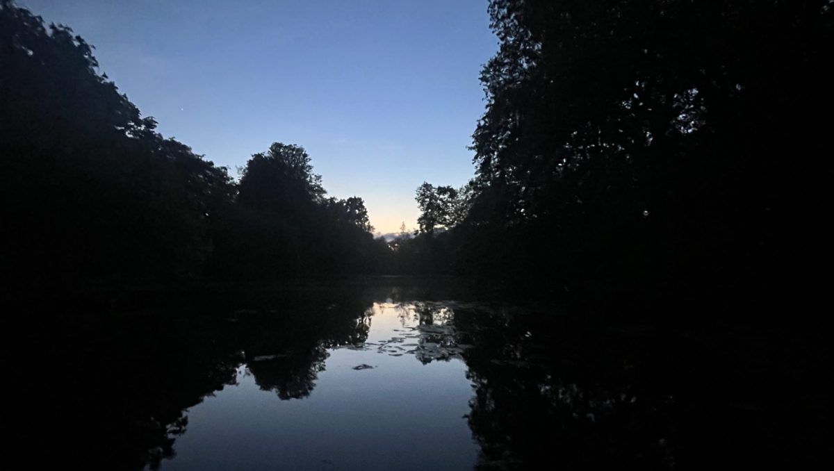 An image of Worcester College lake in low lighting, among trees