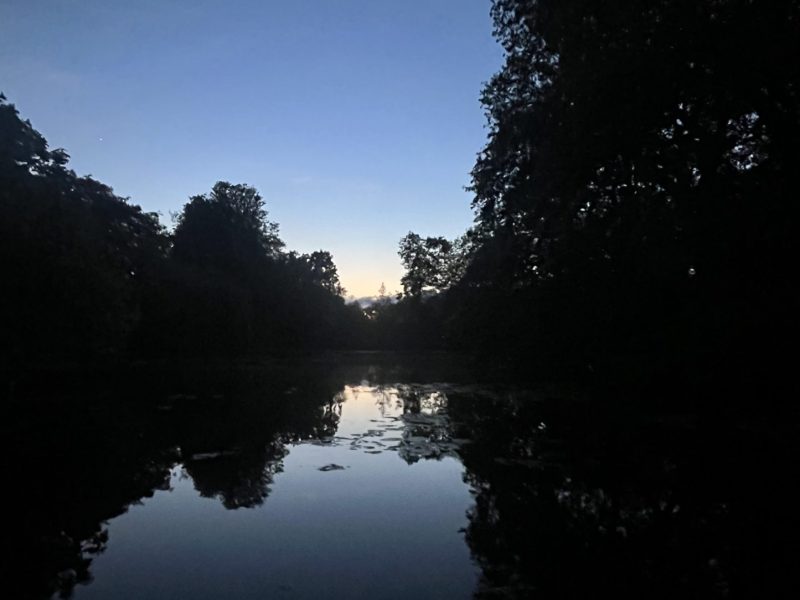 An image of Worcester College lake in low lighting, among trees