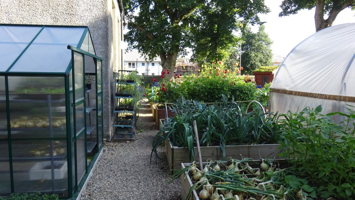 Lochwinnoch Community Garden Renfrewshire