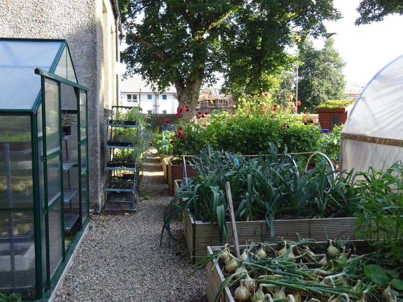 Lochwinnoch Community Garden Renfrewshire
