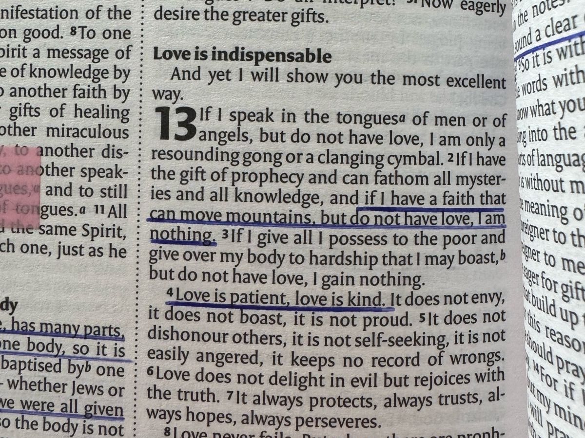 An image of the NIV Bible, 1 Corinthians 13