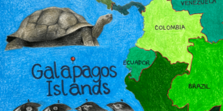 Pencil illustration of Galapagos Islands, Galapagos tortoise and Darwin's Finches.
