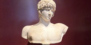 A picture of the bust of Antinous in The Ashmolean Museum, Oxford.