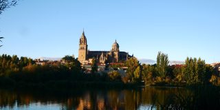 Provided by Imogen Forrest, used with permission