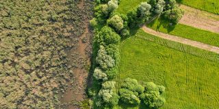 Drone shot capturing lush green fields and trees