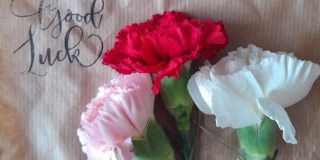 Photo of three different coloured carnations on a brown piece of paper with "Good Luck" typed onto it