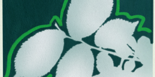 Illustration of white leaves on a green background